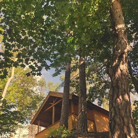 Tatil Evi Polwysep Lipa Wdzydze Tucholskie