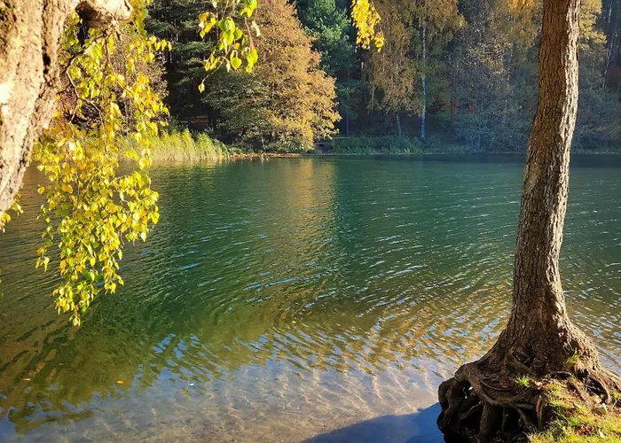 Polwysep Lipa Wdzydze Tucholskie