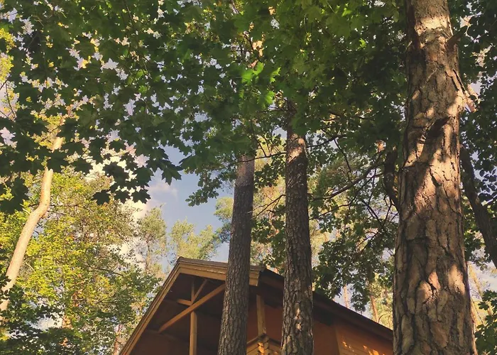 Ferienhaus Polwysep Lipa Wdzydze Tucholskie